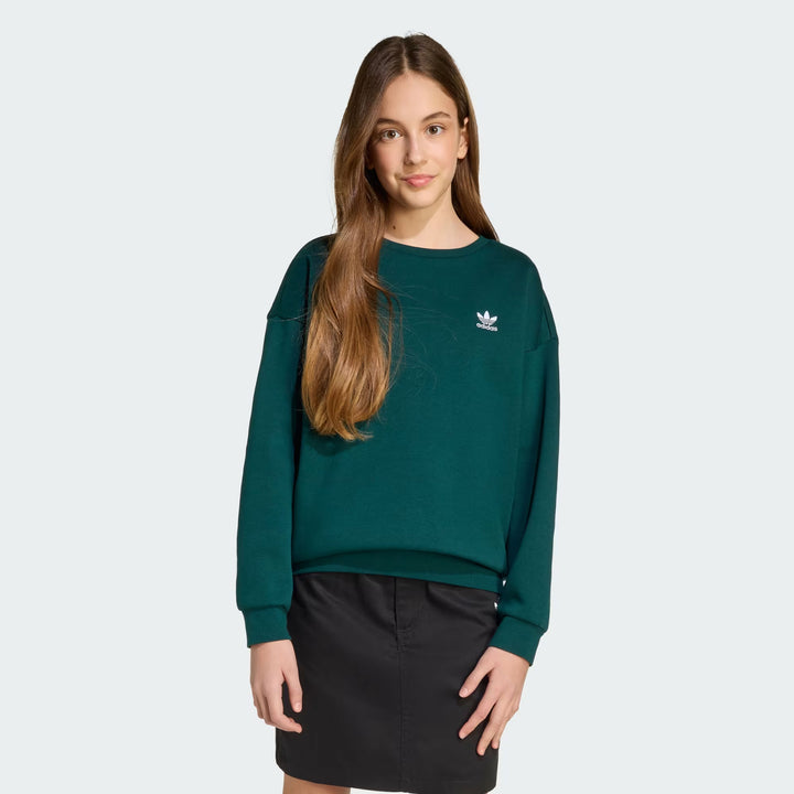 JX2751 - Felpe - Adidas