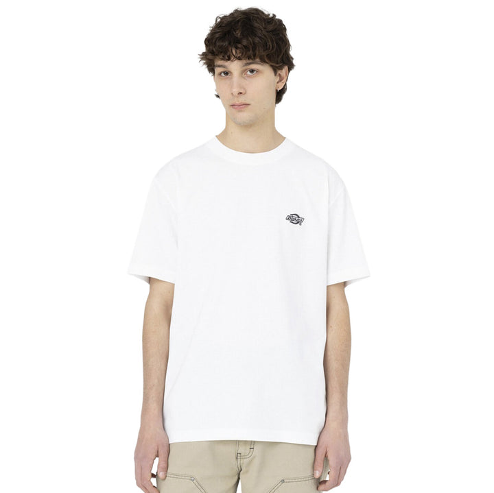 DK0A4YAI - T-Shirt e Polo - Dickies