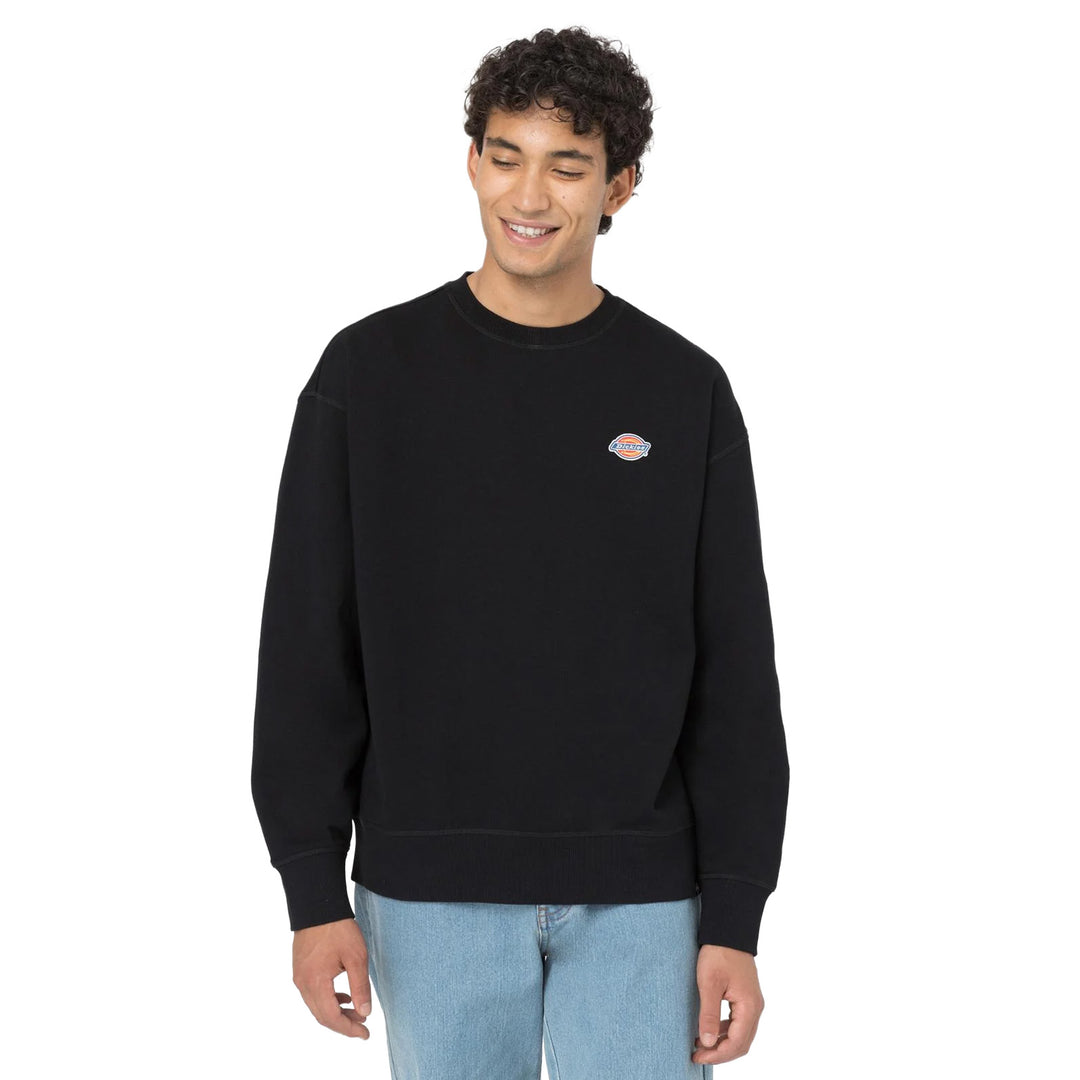 DK0A4YLZ - Felpe - Dickies