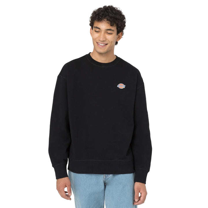 DK0A4YLZ - Felpe - Dickies