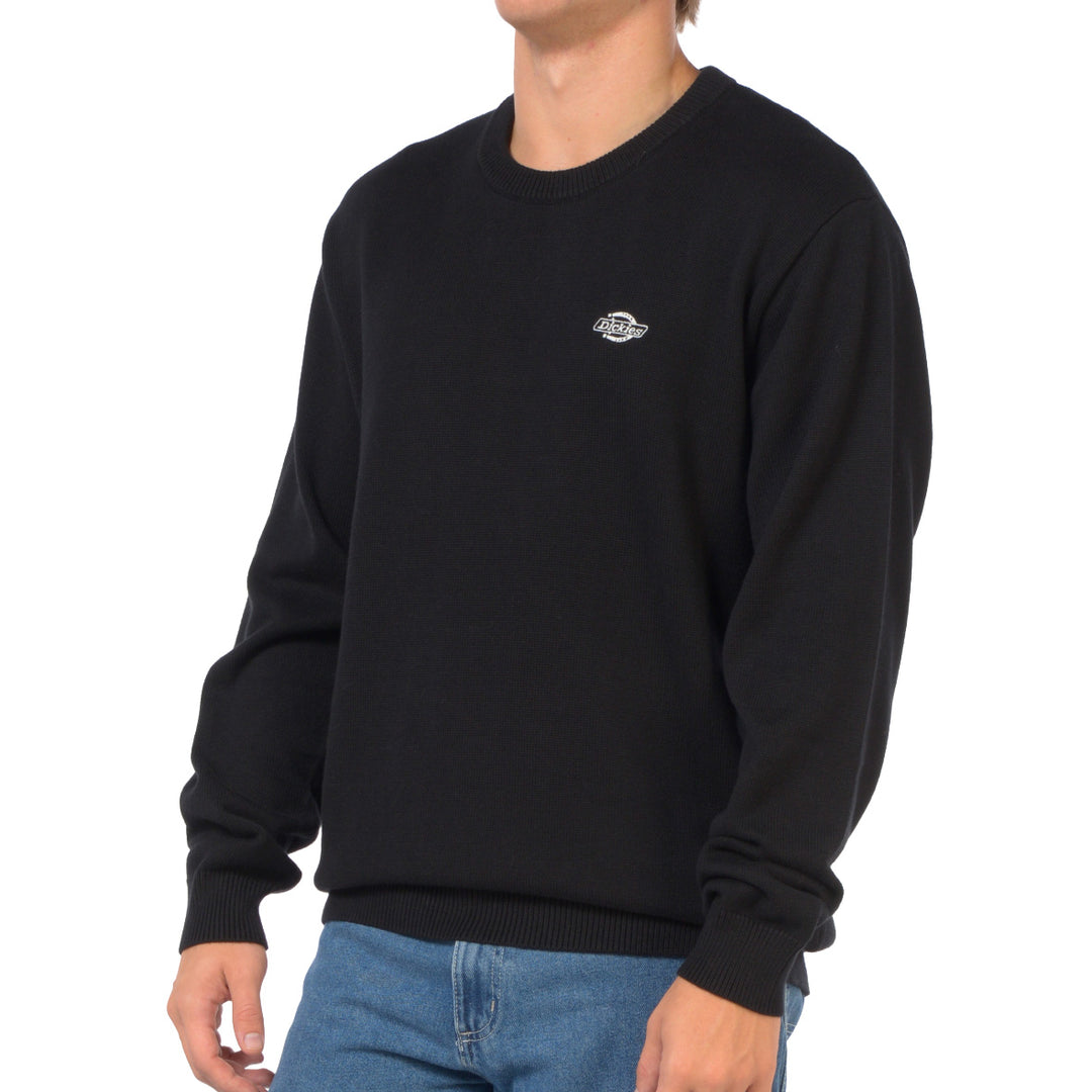 DK0A87OP - Felpe - Dickies