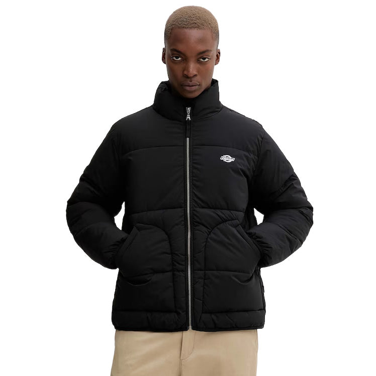 DK0A87OG - Giacche - Dickies