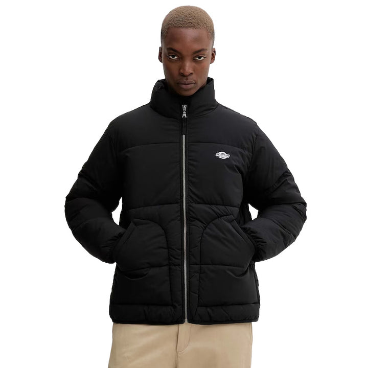 DK0A87OG - Giacche - Dickies