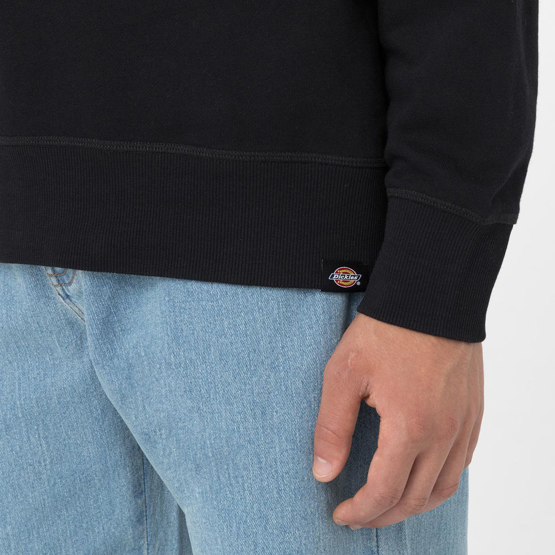 DK0A4YLZ - Felpe - Dickies