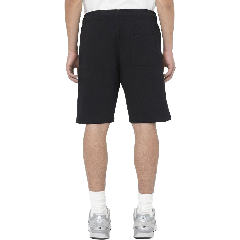 DK0A4Y83 - Shorts - Dickies