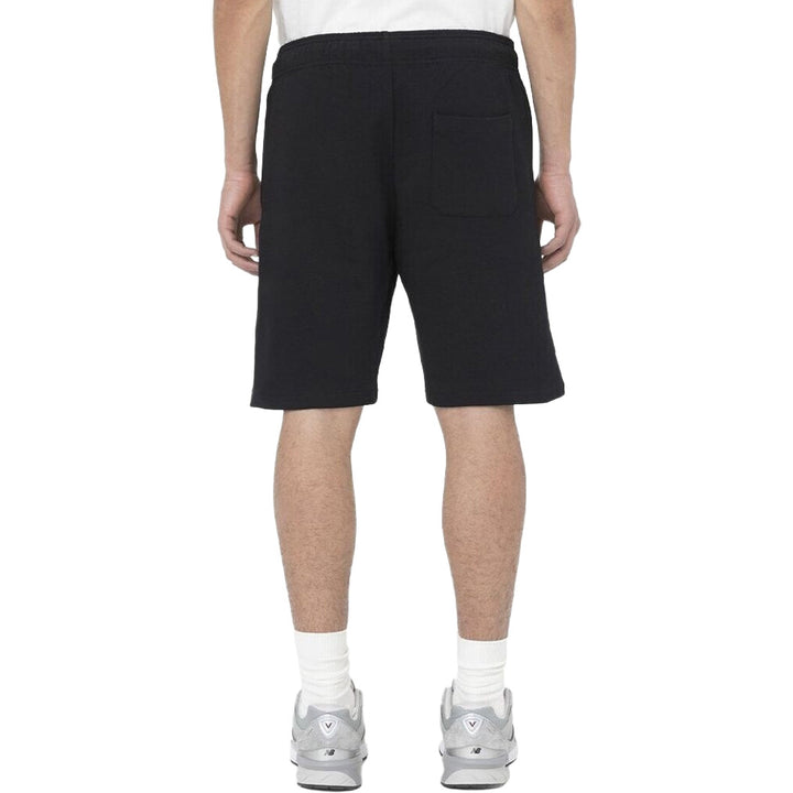 DK0A4Y83 - Shorts - Dickies