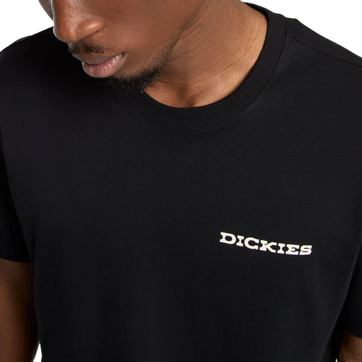 DK0A4Z8V - T-Shirt e Polo - Dickies