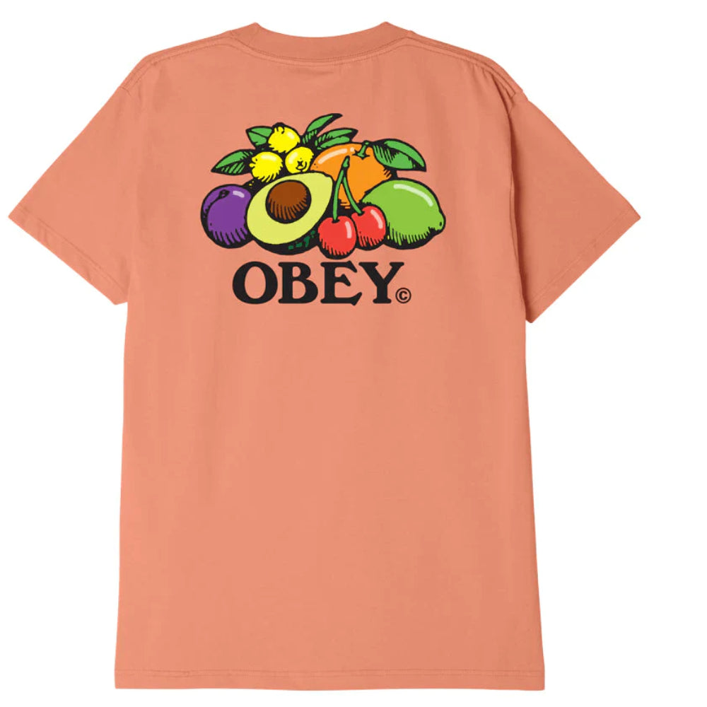 22MC0000591 - T-Shirt e Polo - Obey