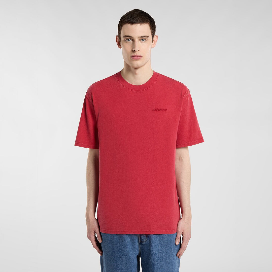DK0A866BL331 - T-Shirt e Polo - Dickies