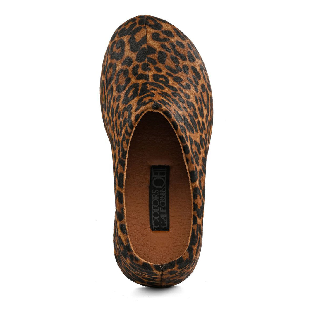 HC.SIERRA03 - Zoccolo - Colors Of California