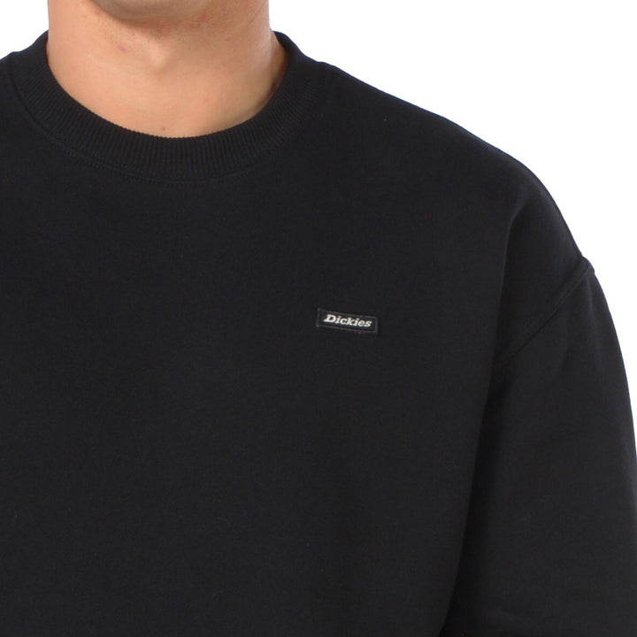 DK0A88BL - Felpe - Dickies