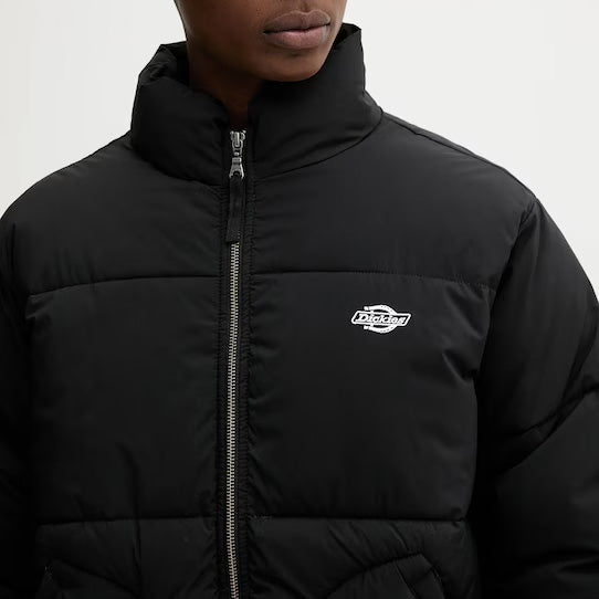 DK0A87OG - Giacche - Dickies