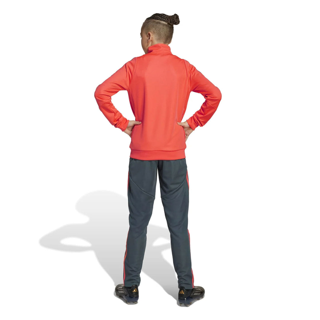 JN7968 - Tute - Adidas