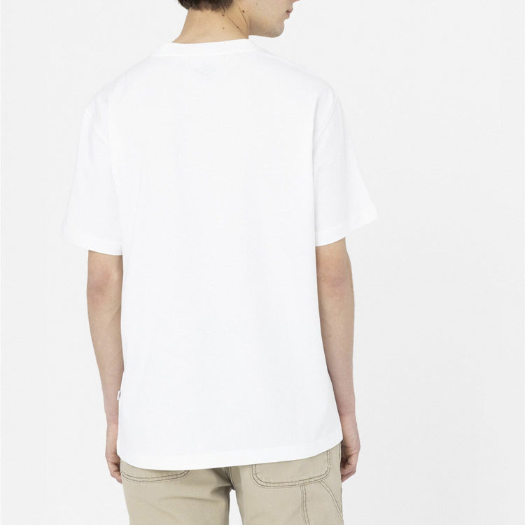 DK0A4YAI - T-Shirt e Polo - Dickies