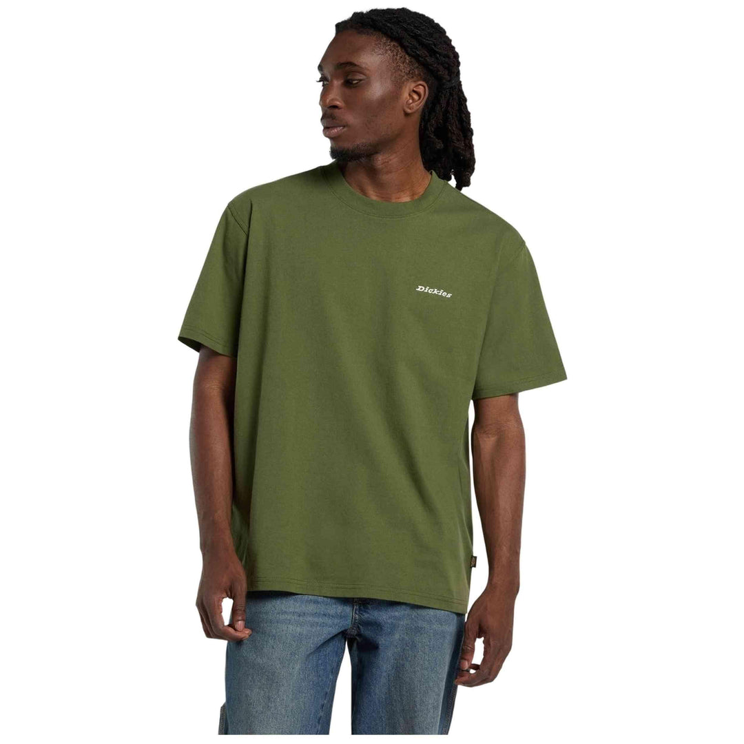 DK0A89ENK721 - T-Shirt e Polo - Dickies