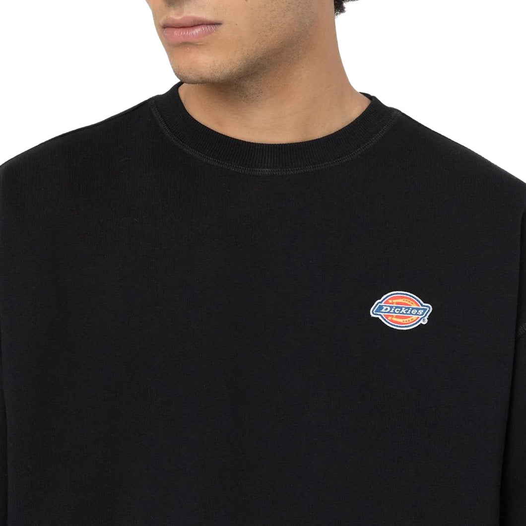 DK0A4YLZ - Felpe - Dickies