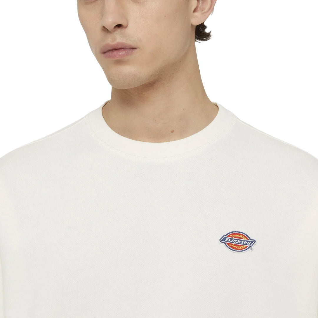 DK0A4YLZ - Felpe - Dickies