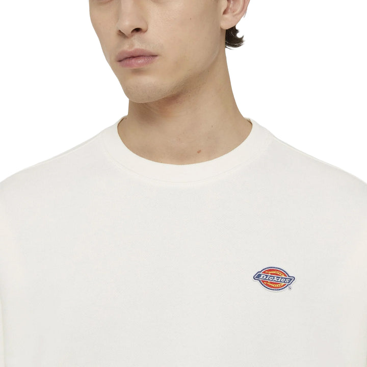 DK0A4YLZ - Felpe - Dickies