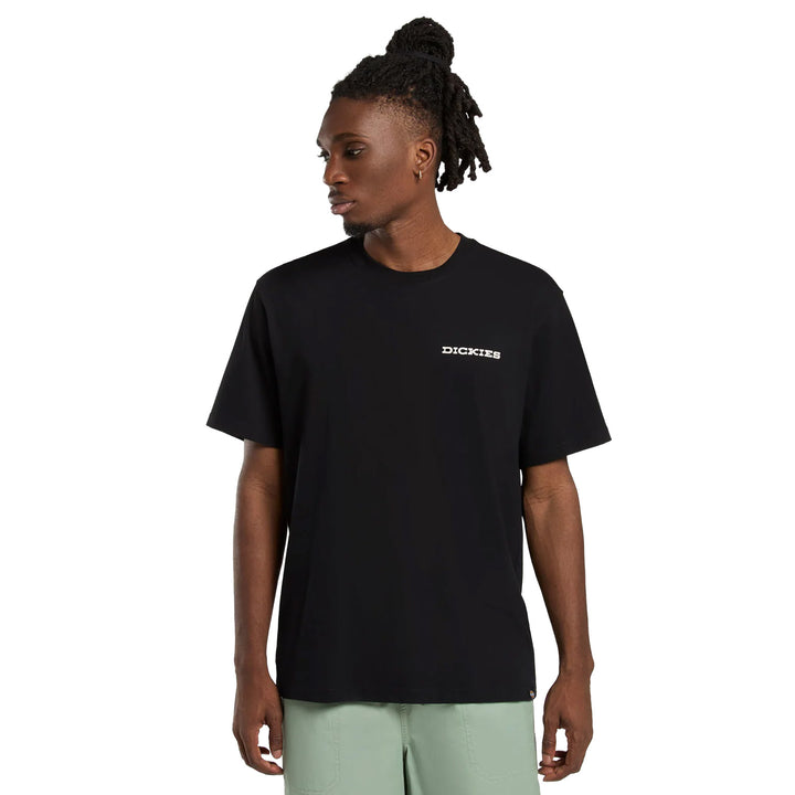 DK0A4Z8V - T-Shirt e Polo - Dickies