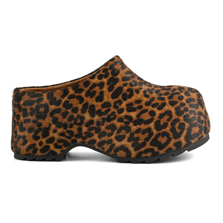 HC.SIERRA03 - Zoccolo - Colors Of California