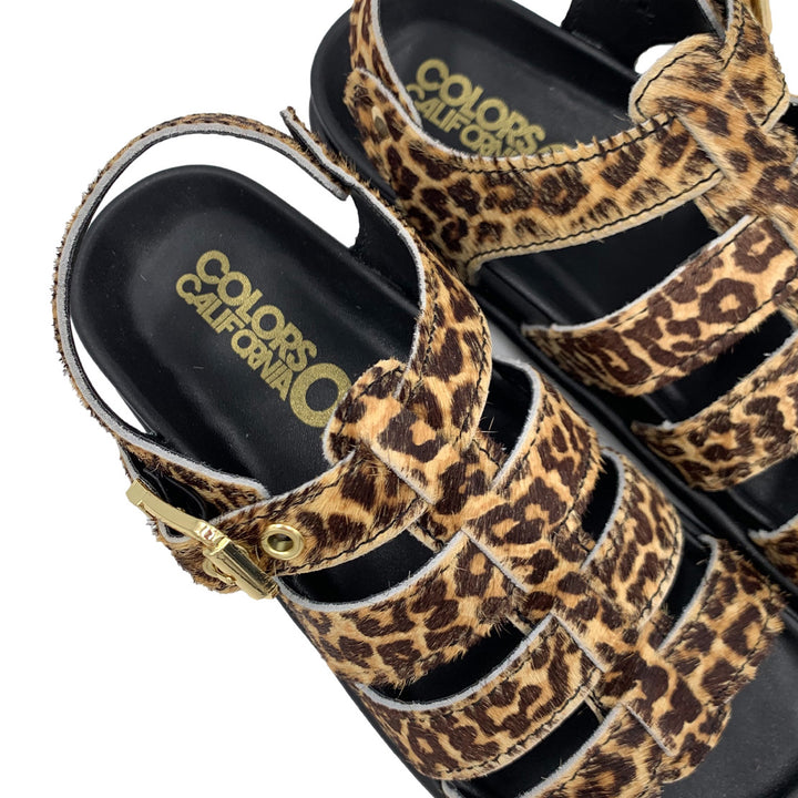HC.BIOW605 - Ciabatta - Colors Of California