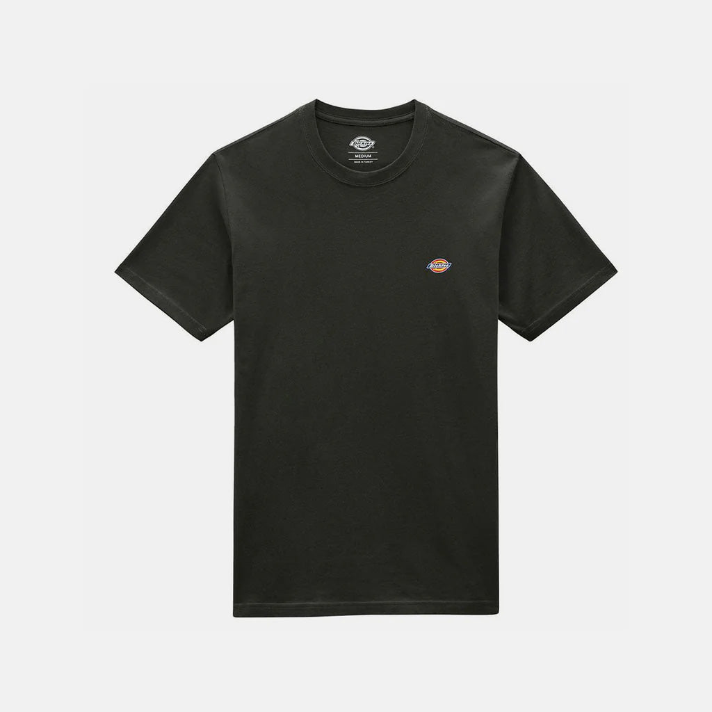 DK0A4XDBOGX1 - T-SHIRT - Dickies