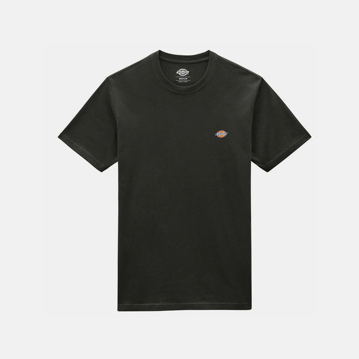 DK0A4XDBOGX1 - T-SHIRT - Dickies