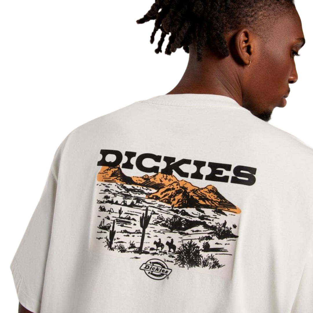DK0A4Z8V - T-Shirt e Polo - Dickies