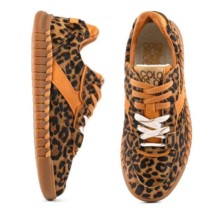 HC.TAHOE20 - Scarpe - Colors Of California