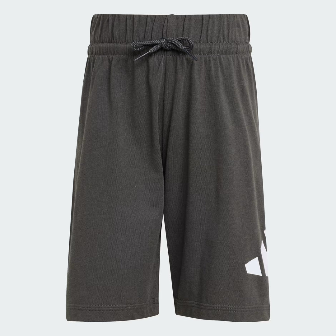 COMPLETINO ADIDAS ESSENTIALS LOGO TEE & SHORTS GRIGIO