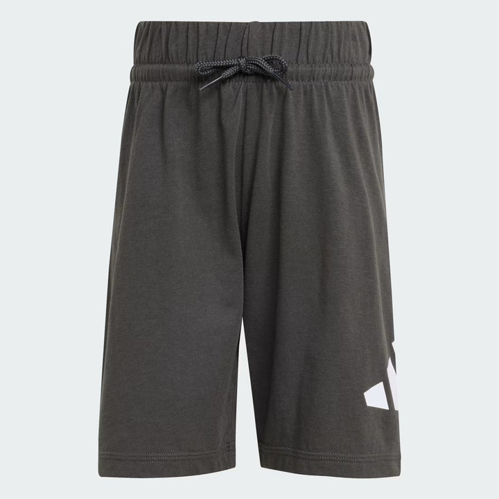 COMPLETINO ADIDAS ESSENTIALS LOGO TEE & SHORTS GRIGIO