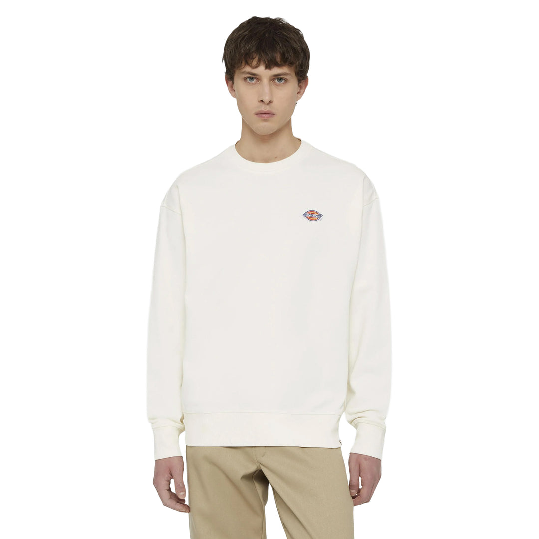 DK0A4YLZ - Felpe - Dickies