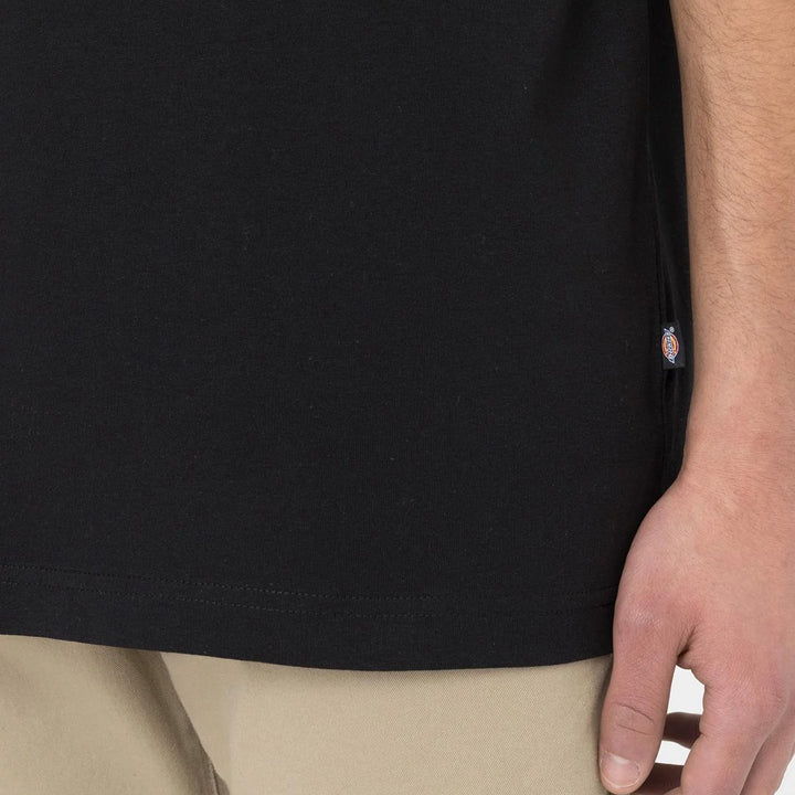 DK0A4YAI - T-Shirt e Polo - Dickies