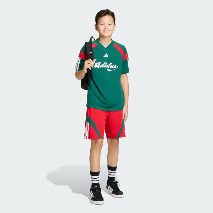MAGLIA ADIDAS HOUSE OF TIRO NATIONS PACK JUNIOR