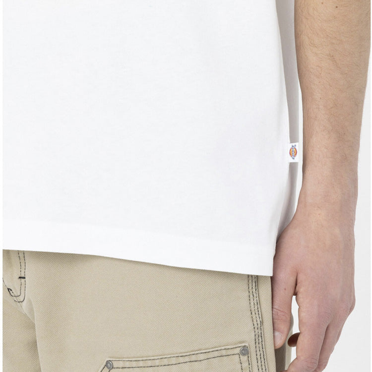 DK0A4YAI - T-Shirt e Polo - Dickies