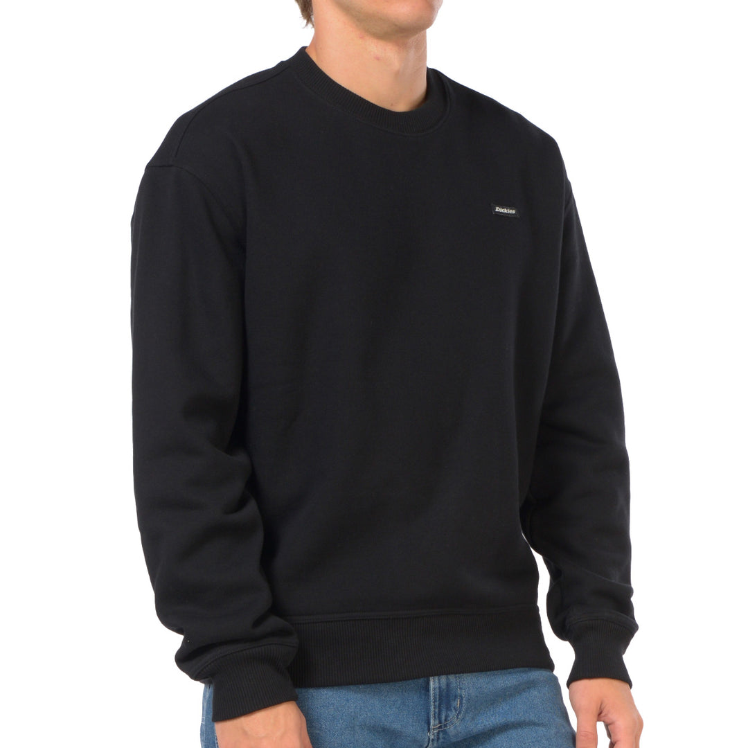 DK0A88BL - Felpe - Dickies