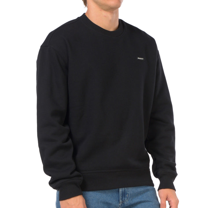 DK0A88BL - Felpe - Dickies