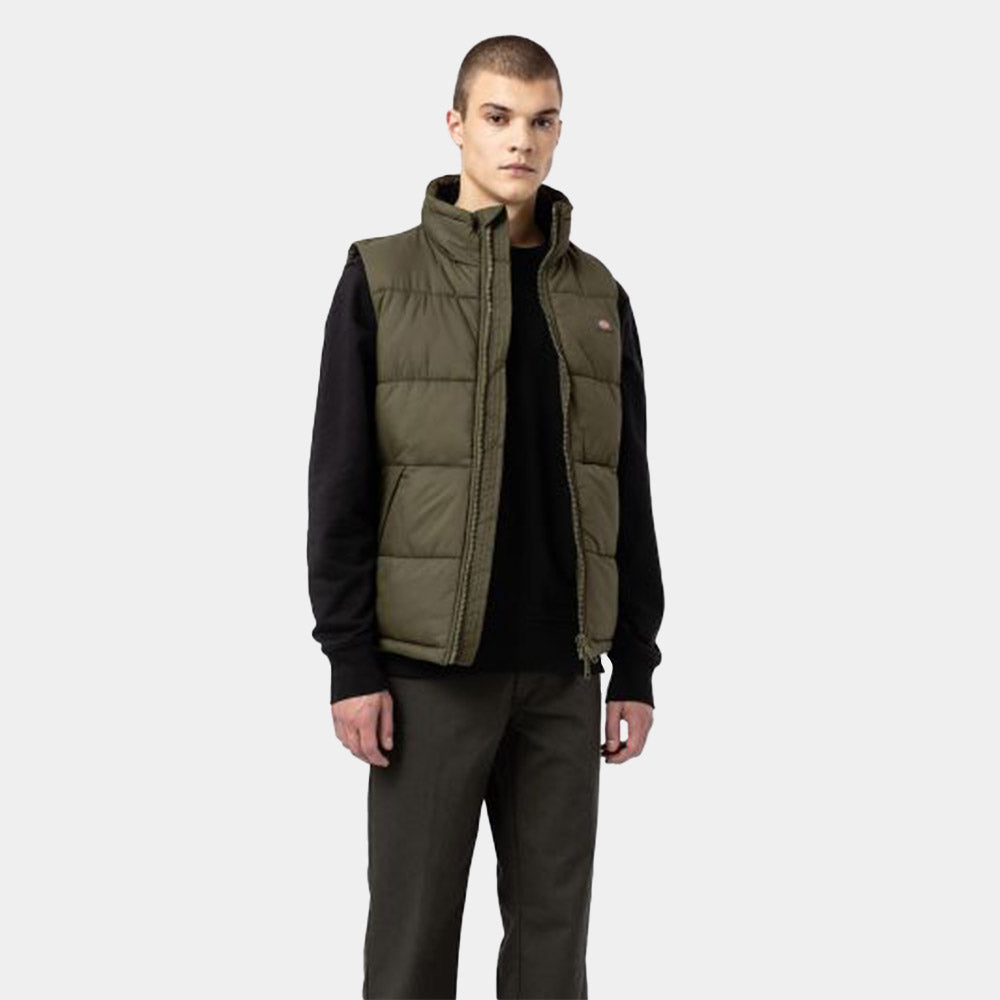 DK0A4Y2K - Giacche - Dickies