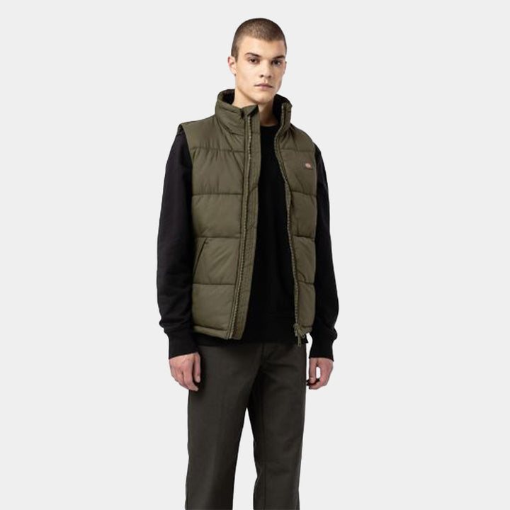 DK0A4Y2K - Giacche - Dickies