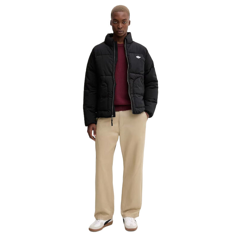 DK0A87OG - Giacche - Dickies