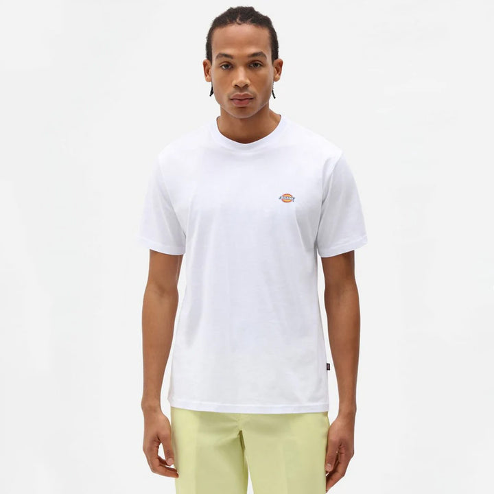 DK0A4XDBWHX1 - T-Shirt e Polo - Dickies