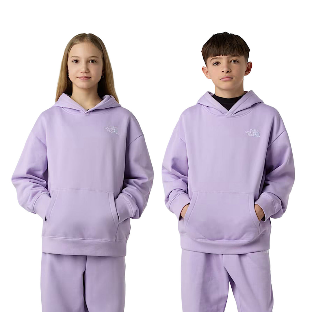 NF0A89HAQZI1 - Felpe - THE NORTH FACE