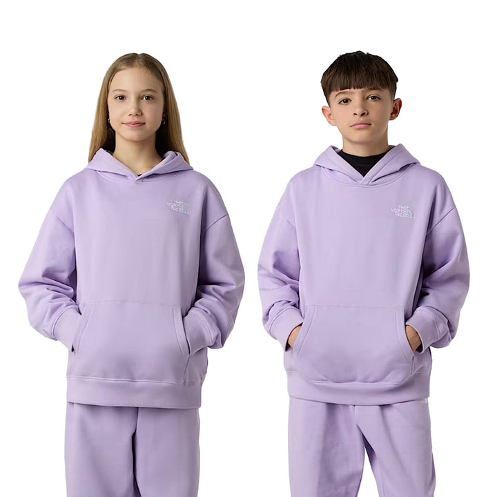 NF0A89HAQZI1 - Felpe - THE NORTH FACE