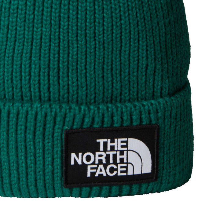NF0A8CHENL11 - Cappelli - THE NORTH FACE