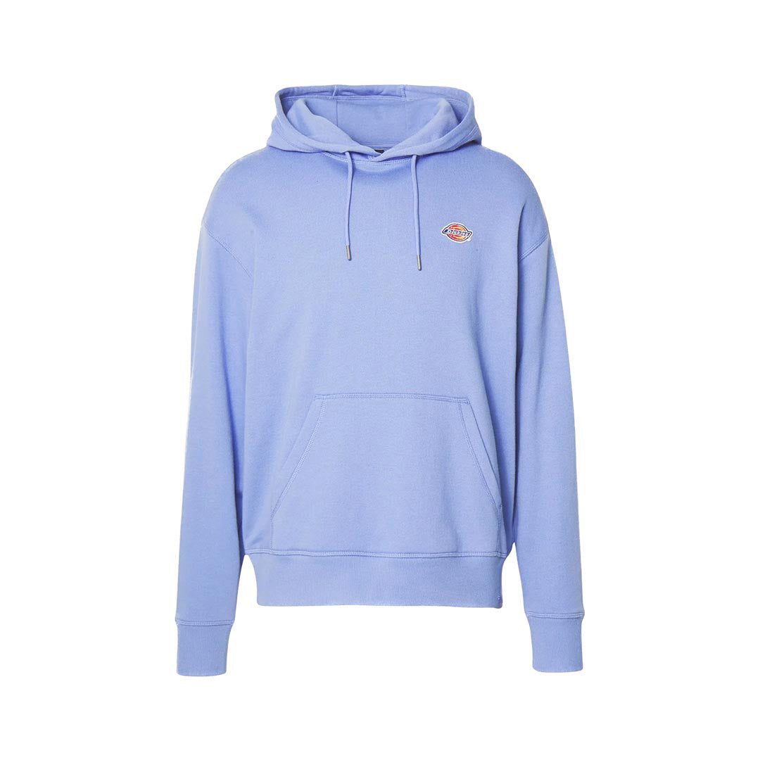 DK0A4YLY - Felpe - Dickies