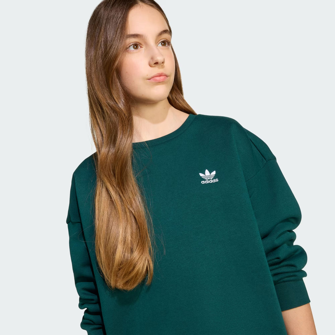 JX2751 - Felpe - Adidas