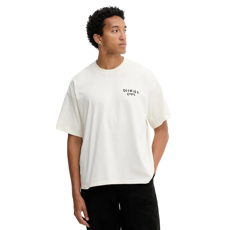 DK0A87QO - T-Shirt e Polo - Dickies
