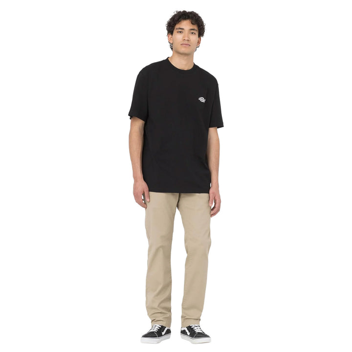 DK0A4YAI - T-Shirt e Polo - Dickies