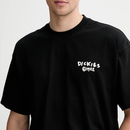 DK0A87QO - T-Shirt e Polo - Dickies