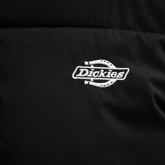 DK0A87OG - Giacche - Dickies